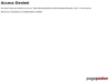 professional seo services agency florida