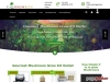 Lower Cholesterol With Matsutake Mushroom