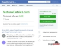 Natural Entries - How to Get Indexed on Major Search Engines